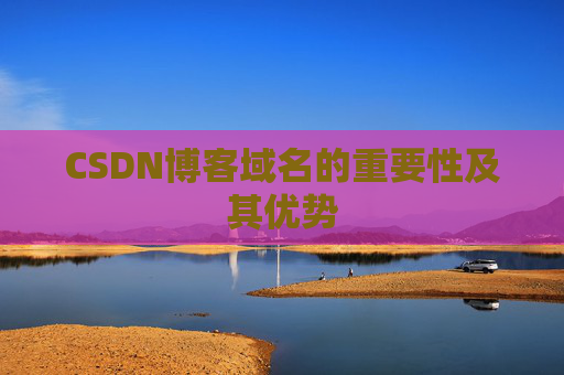 CSDN博客域名的重要性及其优势